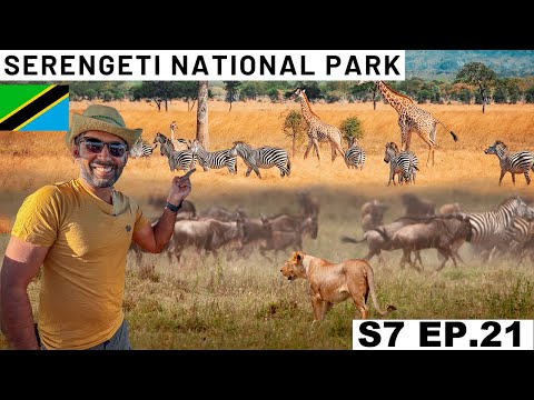 Safari I always wanted to do 🇹🇿 S7 EP.21 | Pakistan to South Africa